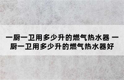 一厨一卫用多少升的燃气热水器 一厨一卫用多少升的燃气热水器好